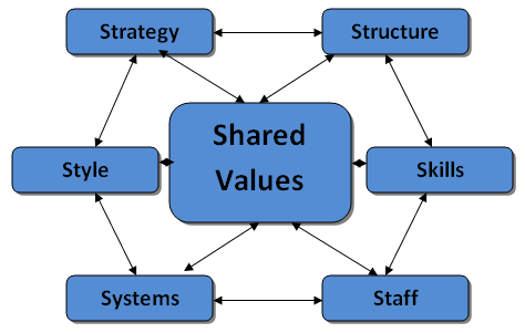 new balance organizational structure